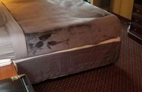 OSU King Bed Hotel Room 206 - Foto 8