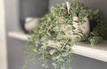 Casa Lobo's Beautiful Suites Apartment 1 free offroad parking - Foto 33