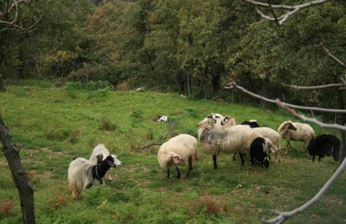 Agriturismo San Cataldo Farm Home - Foto 110