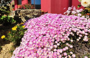 Quinta dos Padrinhos - Suites in the Heart of the Douro - Foto 38