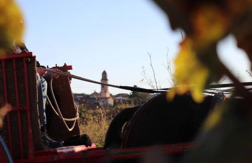 Disfruta de una escapada Rural en Ca la Lola - Foto 10