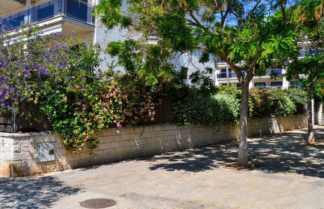 Vila del Far - Foto 14