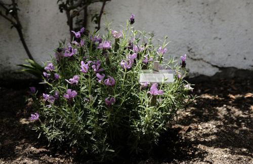 DAME casa vacanza - Foto 28