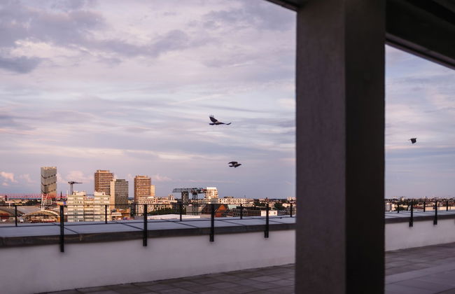 The Circus Living - Foto 48