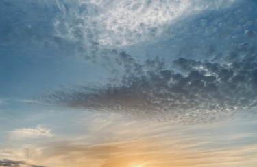 Look and listen to the ocean like never before - Foto 29