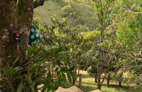 Sítio com piscina, churrasqueira, lareira, fogão à lenha, mesa de sinuca e vista para as montanhas - Foto 40