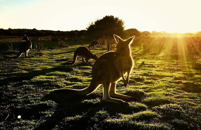 Prom Coast Apartments - Photo 22