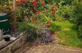 Ferienwohnung Kespergarten - Foto 30