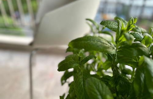 Άνετο Διαμέρισμα 2 Υπνοδωματίων κοντά στο ΟΑΚΑ και τα Νοσοκομεία ΥΓΕΙΑ & ΜΗΤΕΡΑ - Foto 13