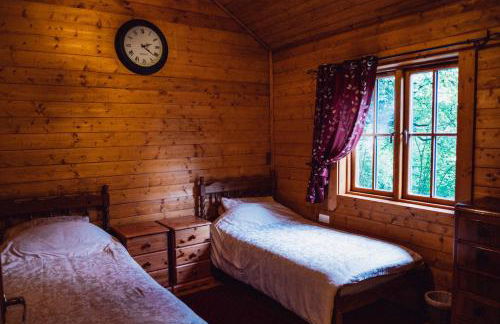 George Cabin - Log Cabin in Wales with Hot tub - Foto 13