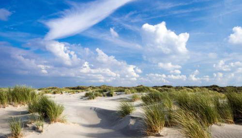 Dünentraum, Ferienwohnung für 4 Personen - Erwachsene oder Kinder - in DE FEERJENHUSEN am Haubarg von Vollerwiek, Fertigstellung April 2020 - Foto 5