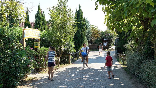 Campsitechalet in Viareggio Near sea Incl Airco - Foto 3, Piscina