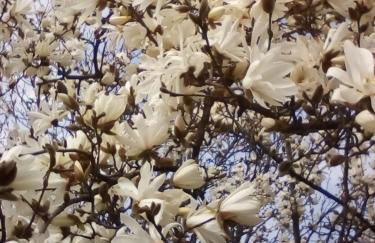 "LA TAVERNA" B&B - Foto 30