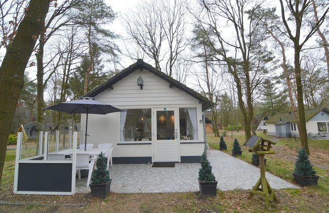 Holiday Home in Stramproy Near Nature Reserves - Photo 13