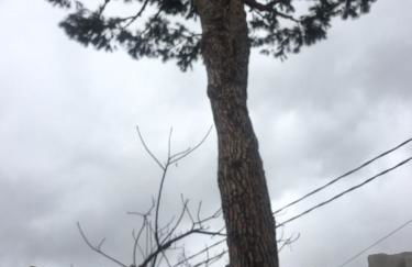 Villino Luce - Photo 9