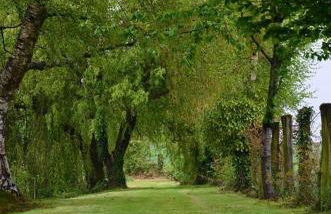 Magnificent 18th Century, 5 Star Luxury Spa - Photo 14