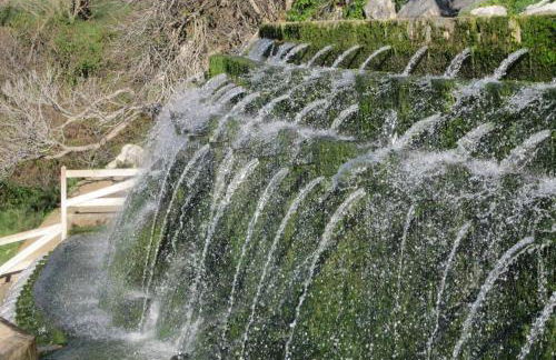 Casita Los Pinos - Photo 25