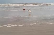 Casa de praia na Jureia - Foto 1