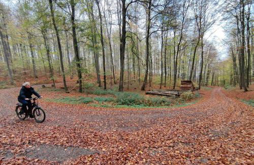 Tiny House Ithblick direkt am See - Foto 18