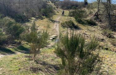 Eife(e)l-Home Ferienwohnung Jakobs - Foto 23