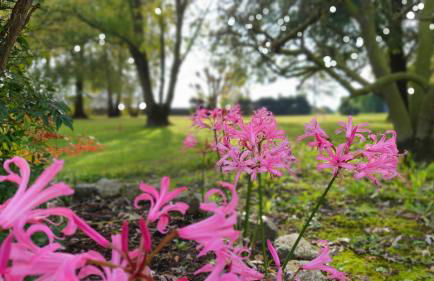 NIKO casa - 3 bedroom townhouse - Foto 35