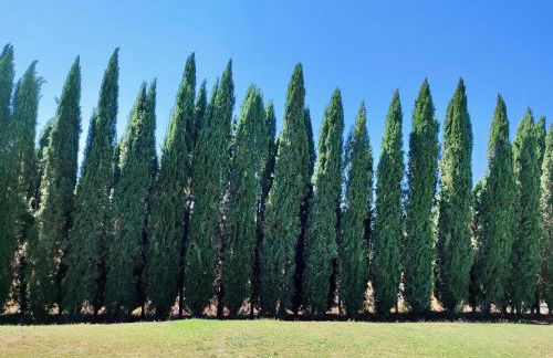 The Monastery - St Antimo - Foto 43