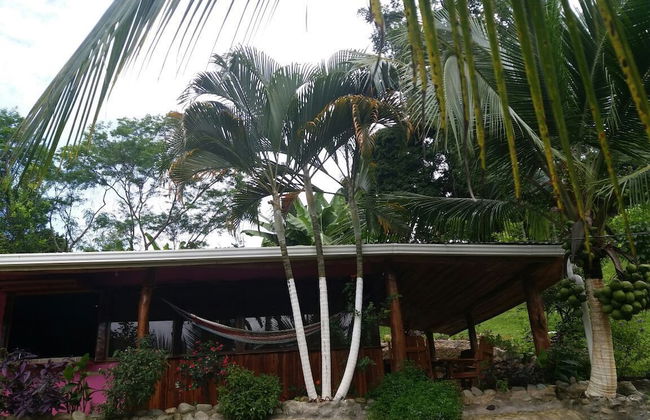 Pura Natura Lodge Arroyo - Foto 76