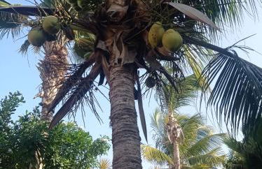 Beautiful house 5 minutes on foot to centre, Wi-Fi, parking, kitchen - Foto 34