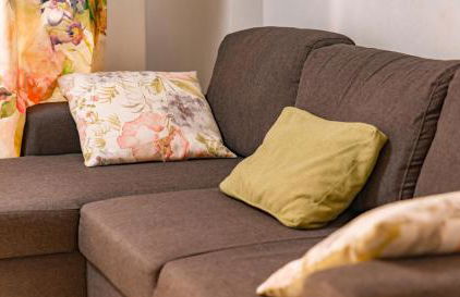 Parrot’s House - Foto 61