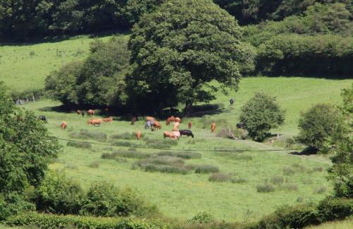 Garn Lodge - Foto 23