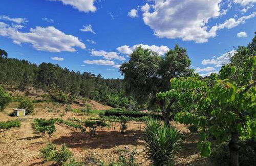 Cantinho da Alice Family Villa - Foto 15