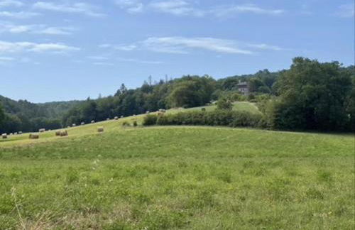 Ferme Saint Martin le Redon - Foto 24
