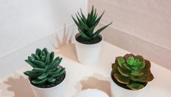 Marlin House - Foto 3