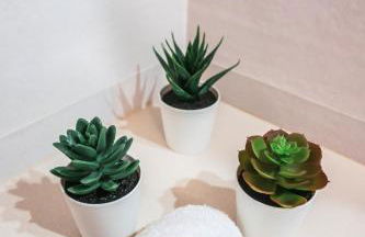 Marlin House - Foto 3