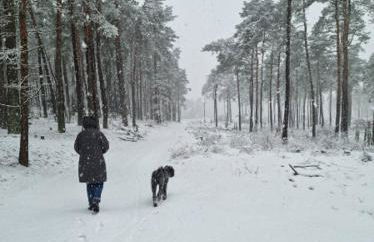 Ferienwohnung Schuberski - Foto 40