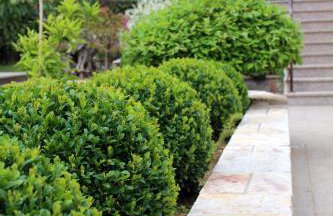 Apartments Dalia - Foto 59