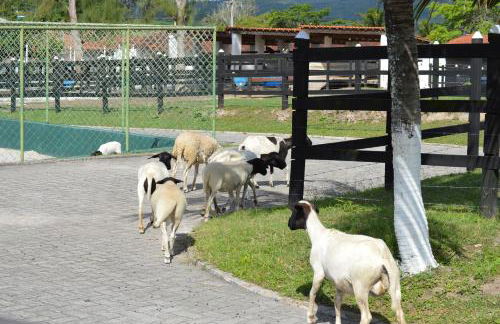 Condominio Villa Hipica - FLAT 301-Gravatá , PE Disponível SEMANA SANTA com Programação ESPECIAL! - Foto 54