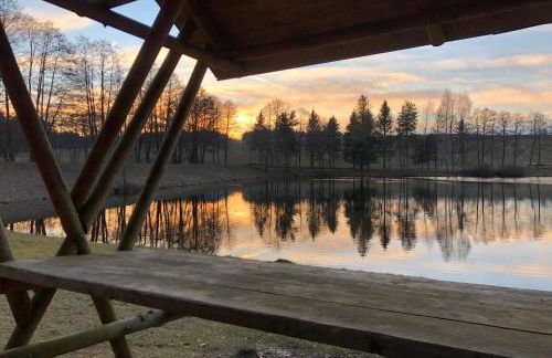 Hundeurlaub im Tiny House im Wald - Foto 61