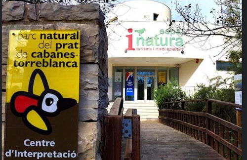 Apartamento en playa de Torrenostra - Foto 4