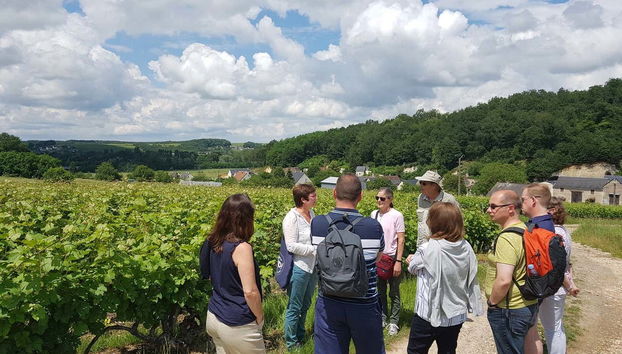 Loire Valley Wine Tour - Foto 4