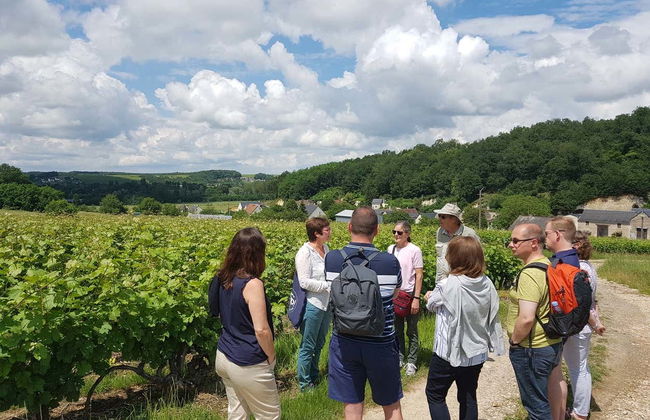 Loire Valley Wine Tour - Photo 4