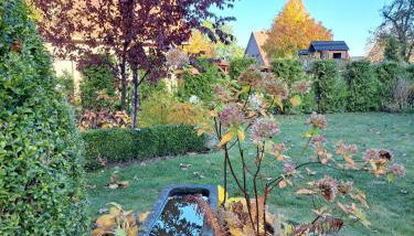 Ferienwohnung Am Speicher - Foto 5, Garden