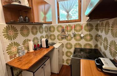 Accogliente monolocale in centro a Branzi - Photo 5