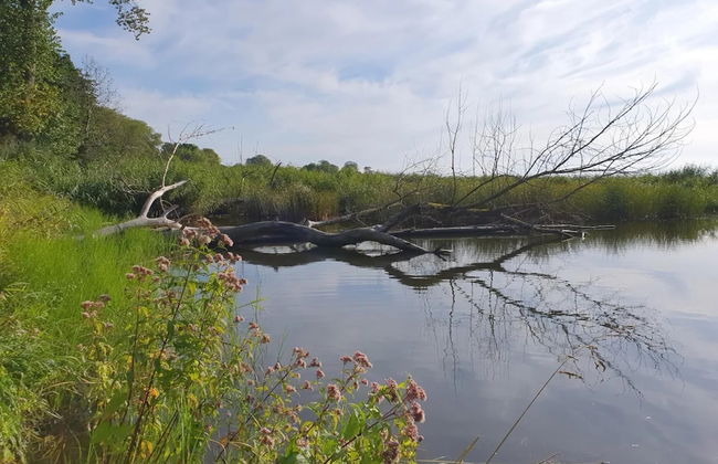 Ferienhof Neuendorfkrug, Lutow - Foto 36