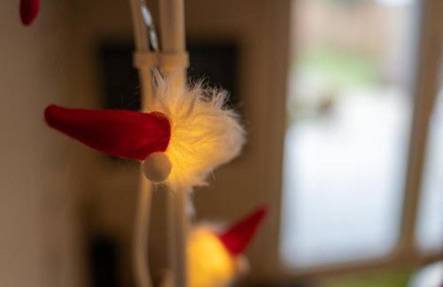 Το σπίτι στο χωριό - Foto 15