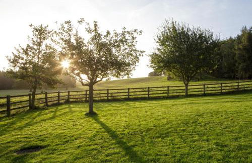 Carr House - Foto 23