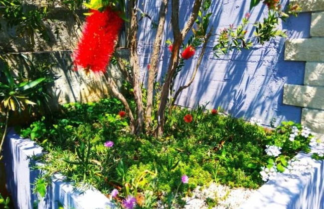 ApartHotel Viola - Foto 18