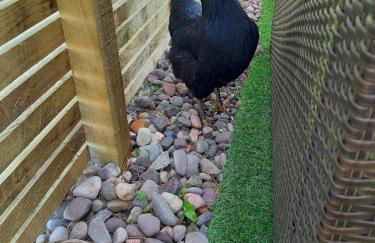 Lovely Semi-rural Caravan & Hot Tub - Sleeps Fam 6 - Photo 77