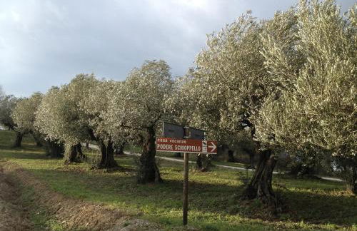 Podere Schioppello Casale con appartamenti privati - Foto 56