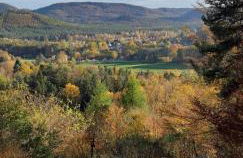 Wasgauer Felsen und Seen - Foto 18